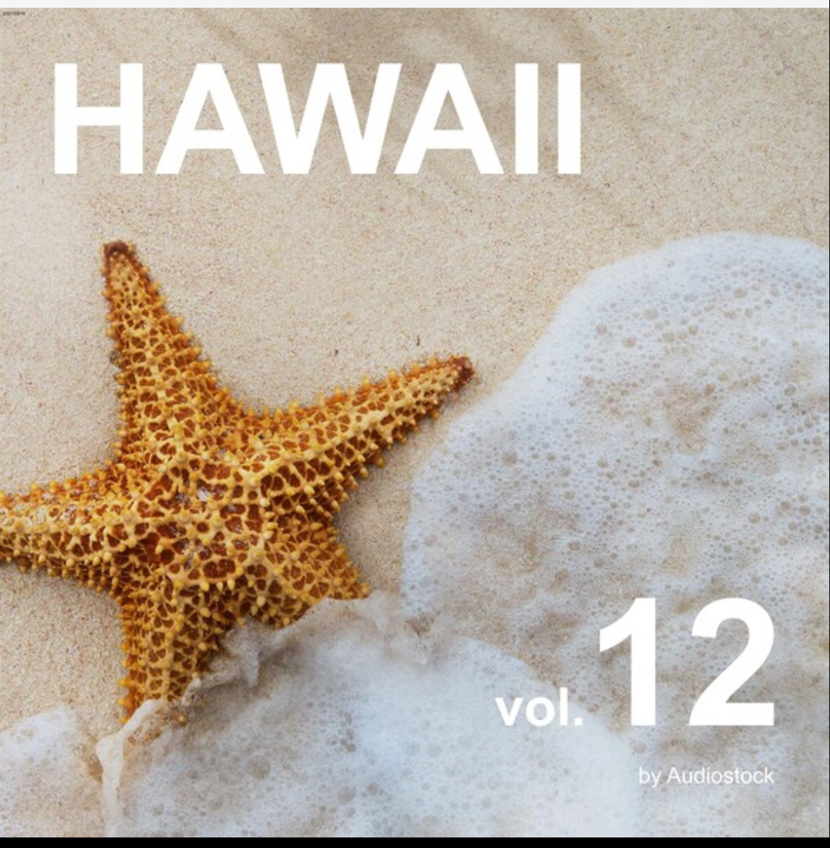HAWAII vol.12に「昭和ムード歌謡風BGM」が収録されました